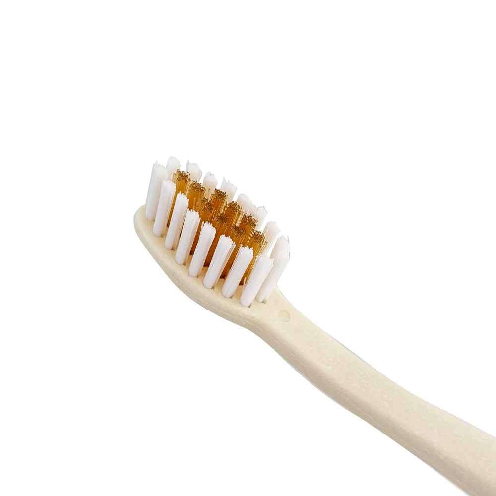 
            
                Cargar imagen en el visor de la galería, Cepillo Dental Eco-Friendly | de Semilla de Aguacate (4868849991819)
            
        