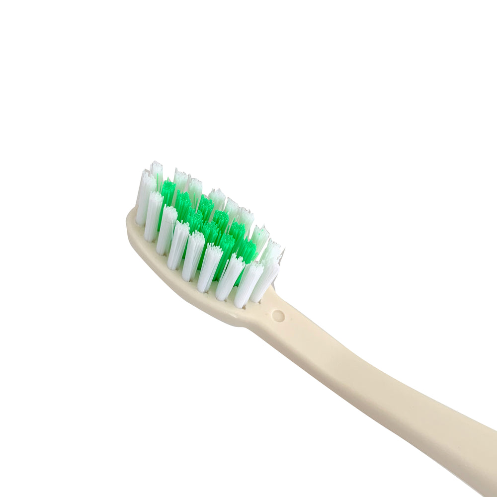 
            
                Cargar imagen en el visor de la galería, Cepillo Dental Eco-Friendly | de Semilla de Aguacate (4868849991819)
            
        